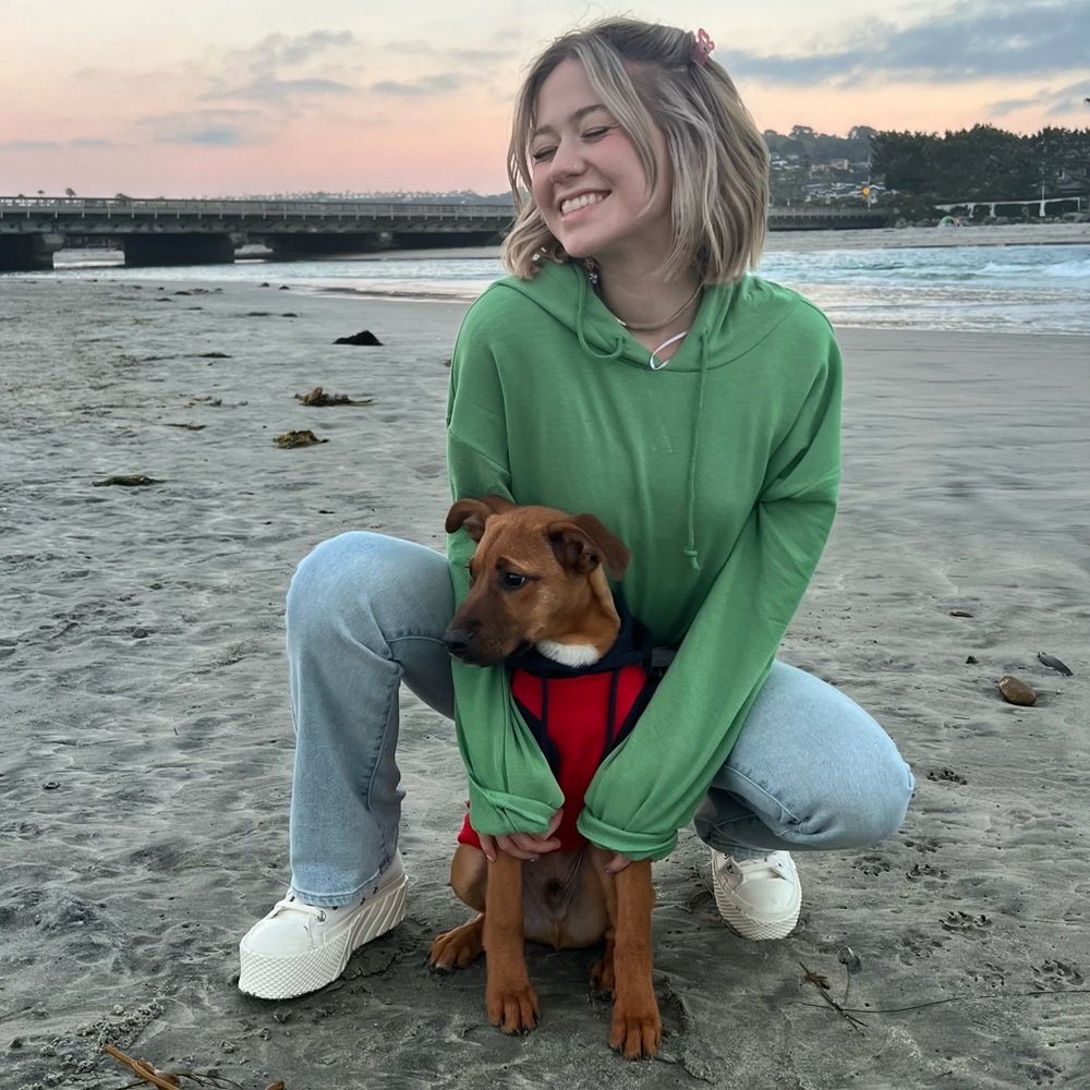 PACSUN CROPPED HOODIE